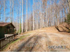 333 BALSAM SHADOWS ROAD - Photo 10