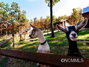 129 Morning Glory Lane - Photo 3