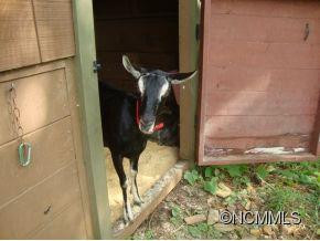 129 Morning Glory Lane - Photo 23