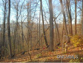404 Haywood Knolls Dr. - Photo 18