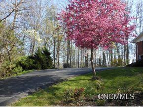 404 Haywood Knolls Dr. - Photo 20