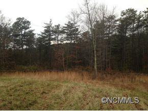 210 Williams Acres Lane - Photo 3