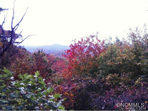 1339 Hogback Mountain Road - Photo 19