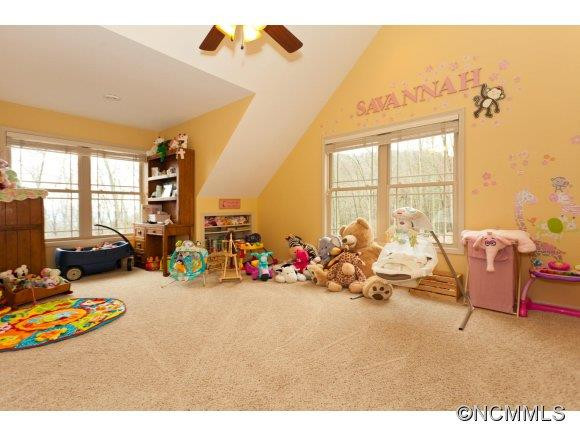 67 Pisgah Forest Trail - Photo 11