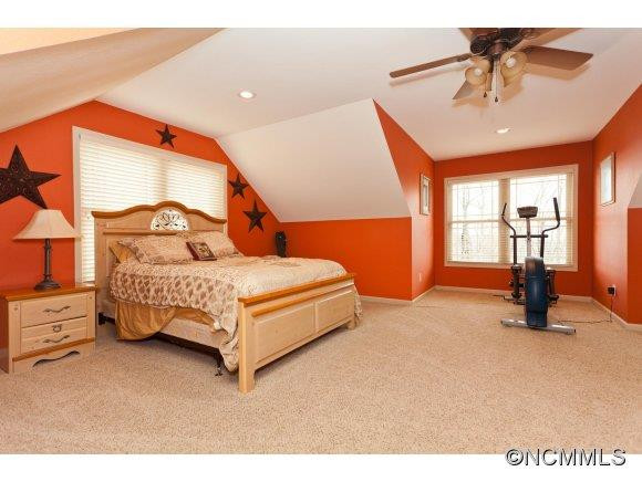 67 Pisgah Forest Trail - Photo 12