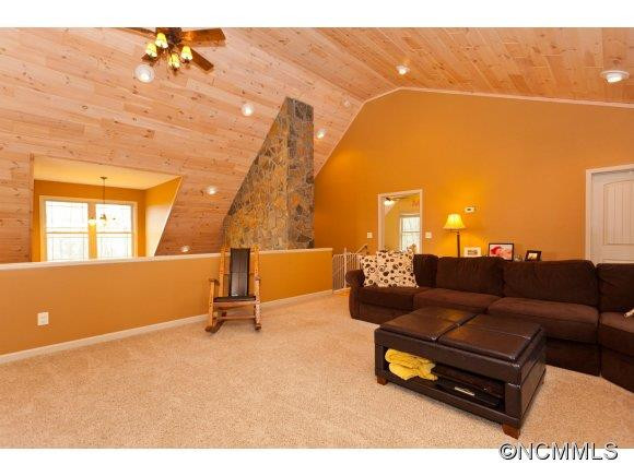 67 Pisgah Forest Trail - Photo 14