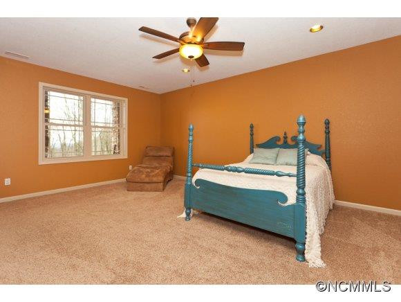 67 Pisgah Forest Trail - Photo 18
