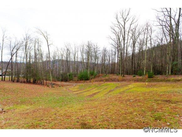 67 Pisgah Forest Trail - Photo 23