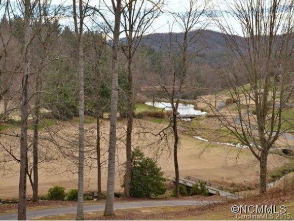 3100 COVE LOOP ROAD - Photo 3
