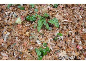 269 Floyd Drive - Photo 24