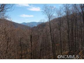 64 Catawba Lane - Photo 23