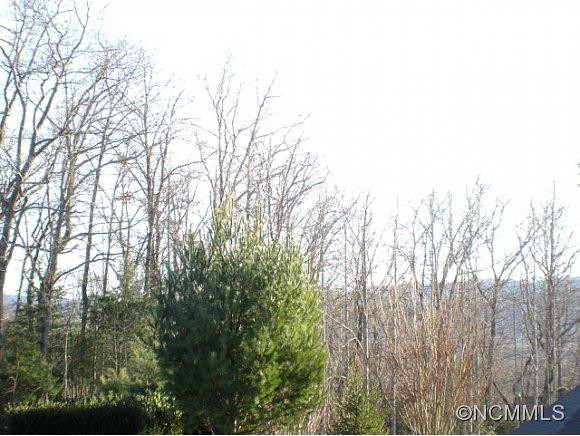 313 MOUNTAIN VALLEY DRIVE - Photo 17