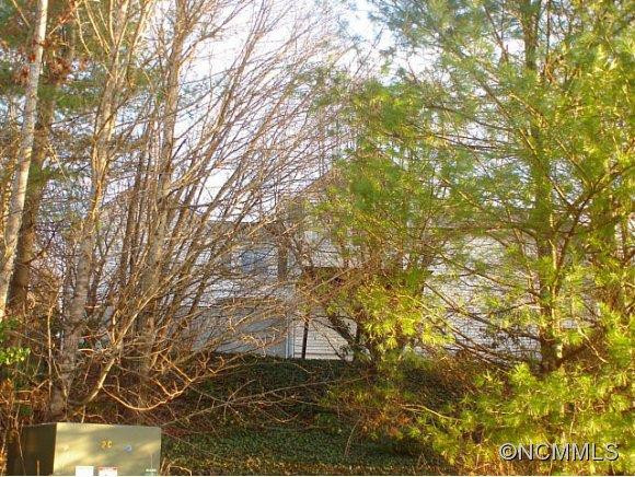 313 MOUNTAIN VALLEY DRIVE - Photo 18