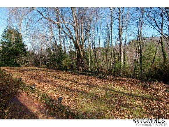 3026 New Leicester Highway - Photo 24