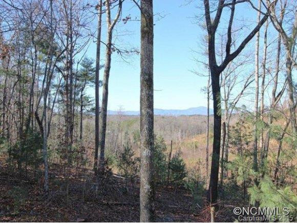 425 Windy Ridge Drive - Photo 11