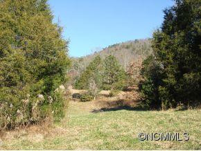 2266 N Mills River Road - Photo 8
