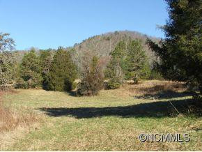 2266 N Mills River Road - Photo 9
