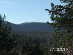 2266 N Mills River Road - Photo 10