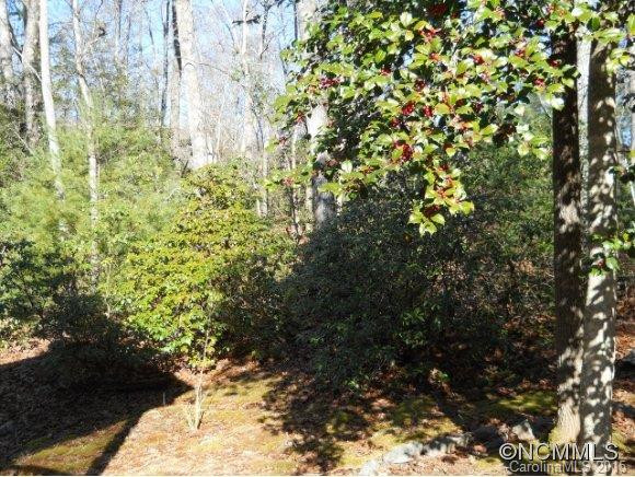 137 Wintergreen Drive - Photo 18