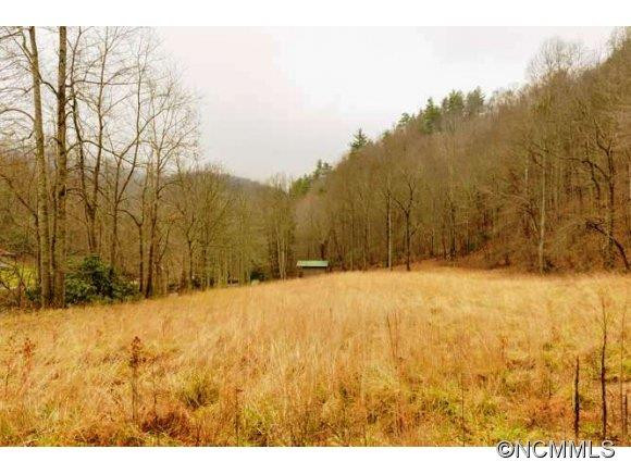 12215 Big Laurel Rd - Photo 21