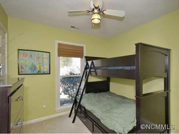 59 MOUNT CARMEL DR. - Photo 8
