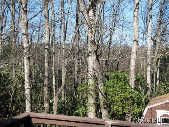 45 Grey Fox Trail - Photo 12