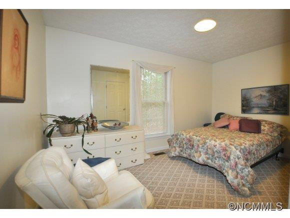 209 Pine Berry Circle - Photo 11