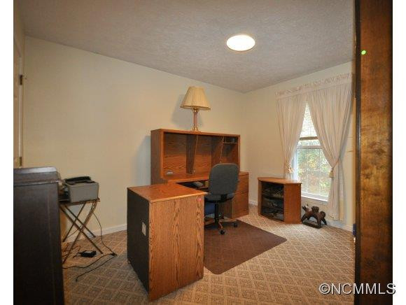 209 Pine Berry Circle - Photo 12