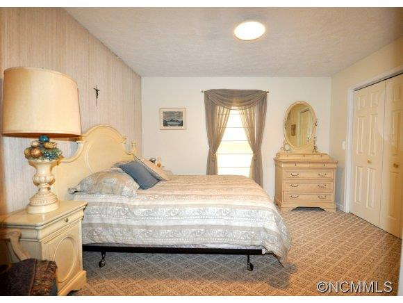 209 Pine Berry Circle - Photo 9