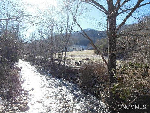 1499 Little East Fork Road - Photo 3