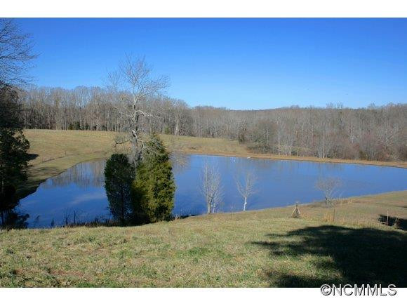 477 Dobbinsville Road - Photo 4