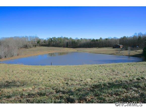 477 Dobbinsville Road - Photo 8