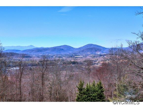 1824 Gilliam Mountain Road - Photo 2