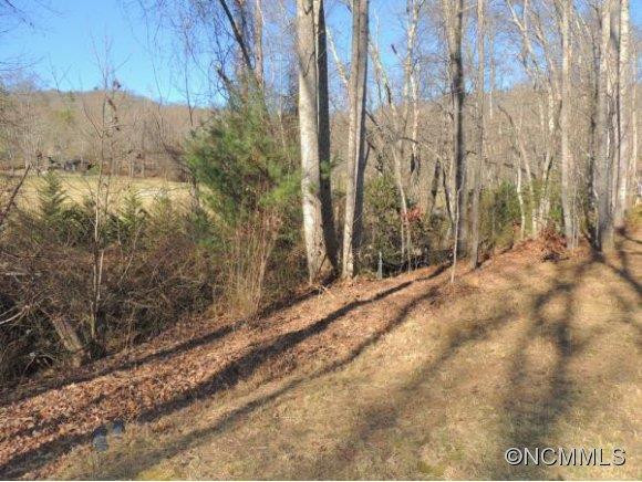 177 APPALOOSA DRIVE - Photo 14