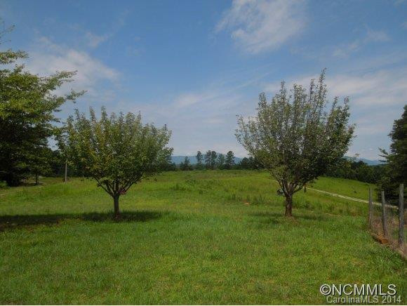 784 Big Level Road - Photo 23