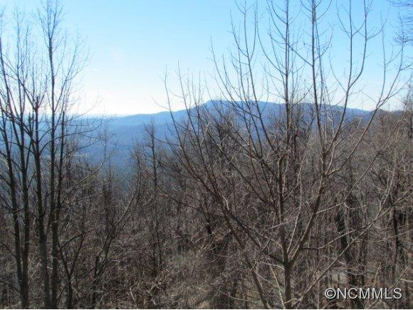 3215 Skyuka Mountain Road - Photo 17