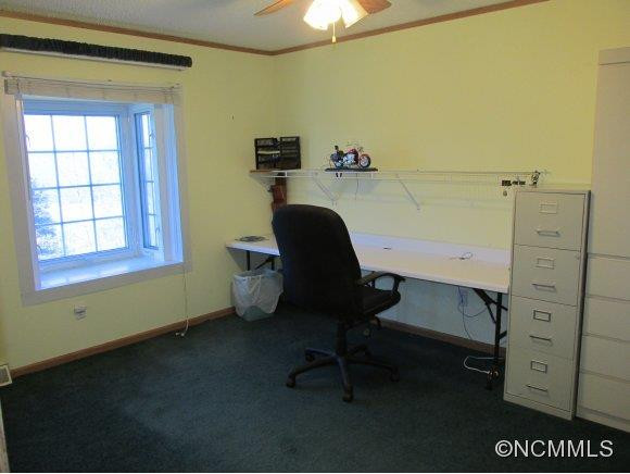 4492 Theron Dr - Photo 12