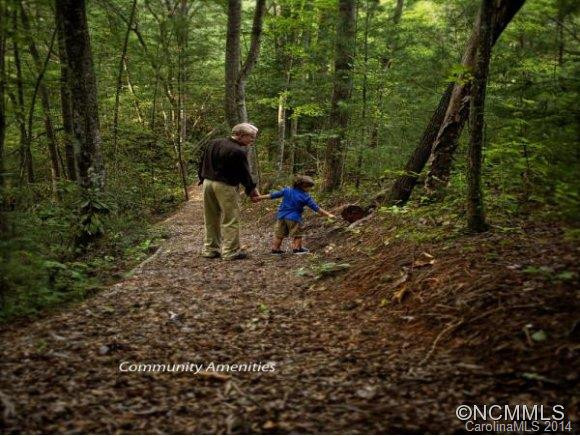 8 Piney Trace Loop - Photo 5