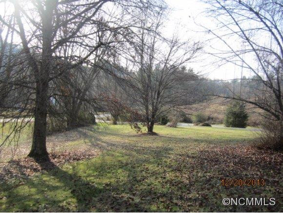 99 S Ammons Branch Road - Photo 2