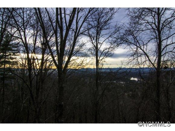 184 Patton Mountain Rd. - Photo 11