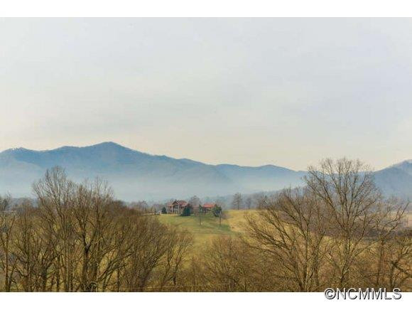 211 Forsythia Ln - Photo 4