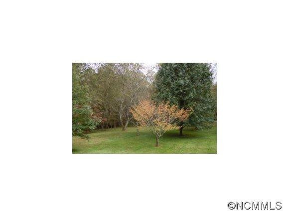120 Haywood Knolls Drive - Photo 19