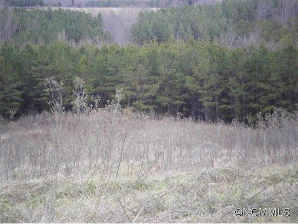 306 Hopewell Road - Photo 5