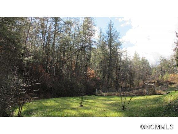90 Old Burnsville Road - Photo 5