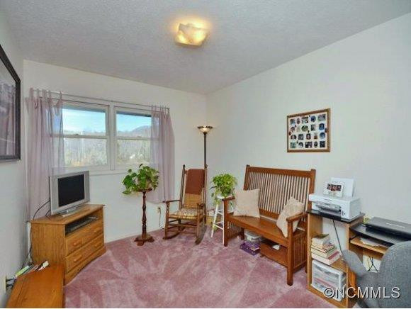 589 BRUSH CREEK ROAD - Photo 11