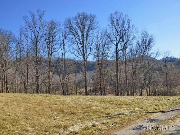 589 BRUSH CREEK ROAD - Photo 17