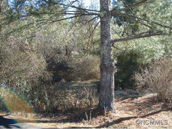 15 Chestnut St. - Photo 19