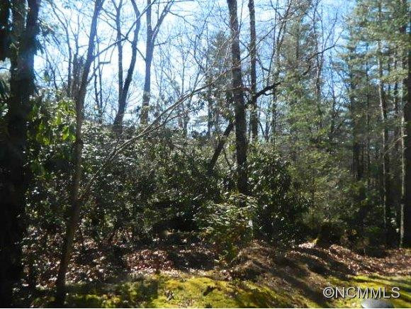 532 Timberlane Drive - Photo 2