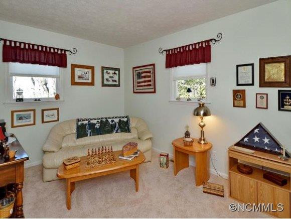 530 STARMOUNT LANE - Photo 13