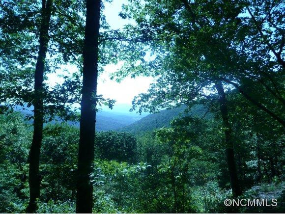 887 Old Leicester Highway - Photo 10